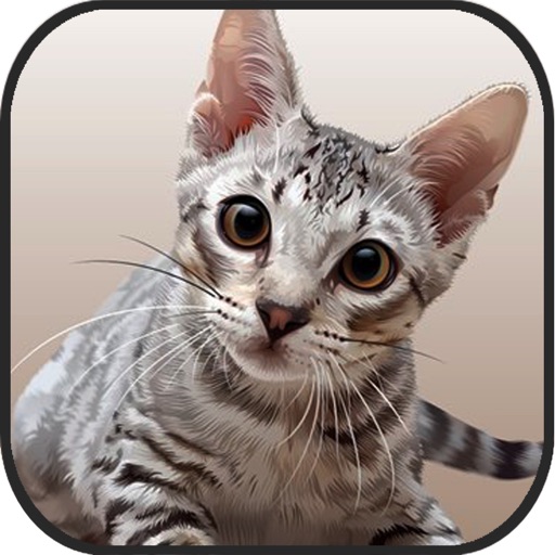 Extreme Cat 3D Simulator iOS App