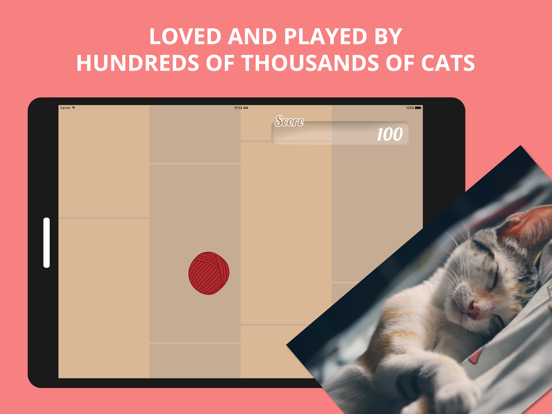 Screenshot #6 pour Best Game for Cats