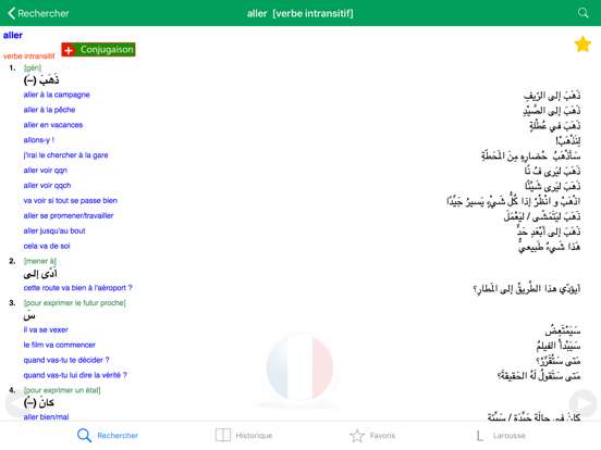 Screenshot #6 pour Dictionnaire d'arabe Larousse