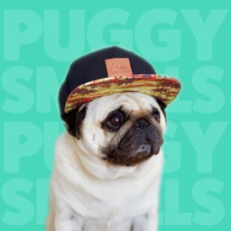 Puggy Smalls Stickers