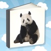 Picture Book For Toddlers! icon