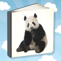Picture Book For Toddlers! app icon