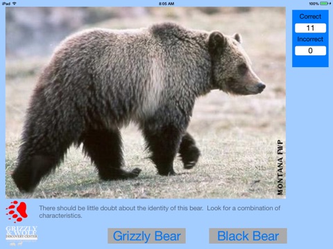 BearID screenshot 3