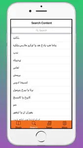 Pashto-German Learning App screenshot #8 for iPhone