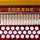 Hohner SqueezeBox