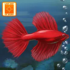 Application Fish Tycoon 4+