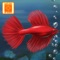 Fish Tycoon