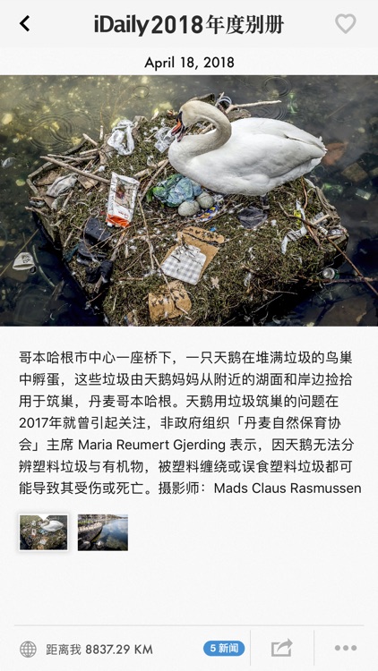 iDaily · 2018 年度别册 screenshot-6