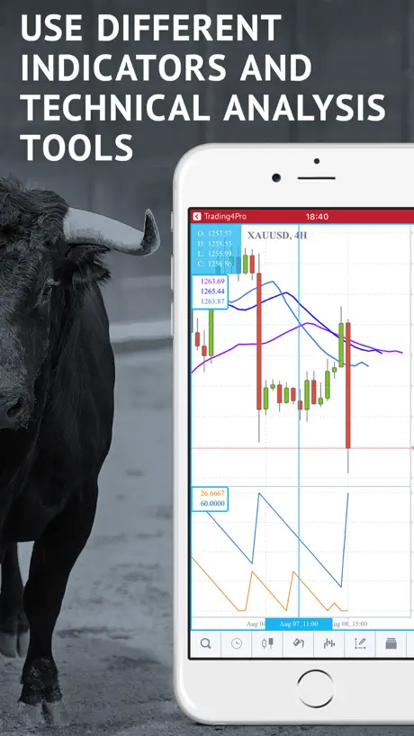Trading4Pro Forex Charts