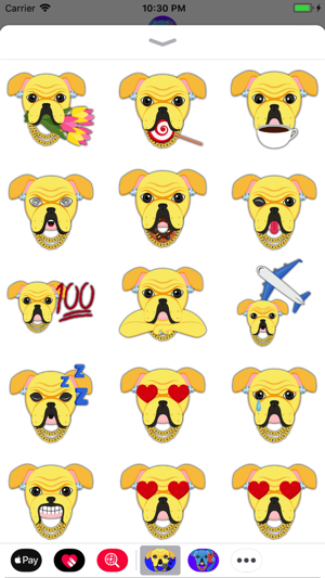 Blinged Out Yellow Bulldog(圖1)-速報App