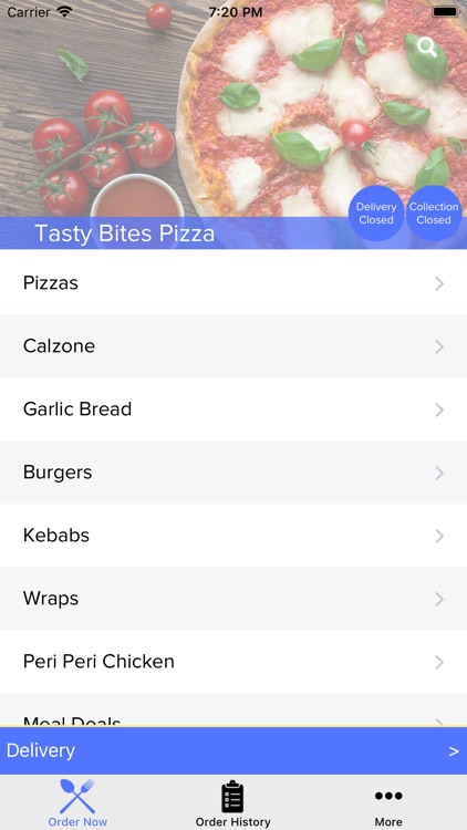 Tasty Bites Pizza