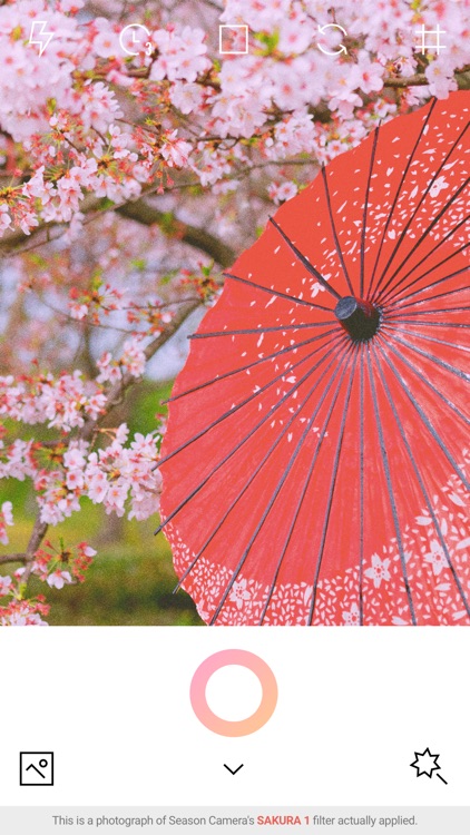 SPRING - Season Camera