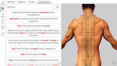 Visual Acupuncture 3D screenshot1