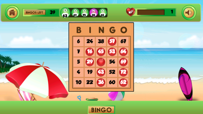 Bingo Frenzy Casino -Party Fun screenshot 2