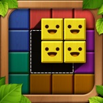 Wooden Block Puzzle Wood Game