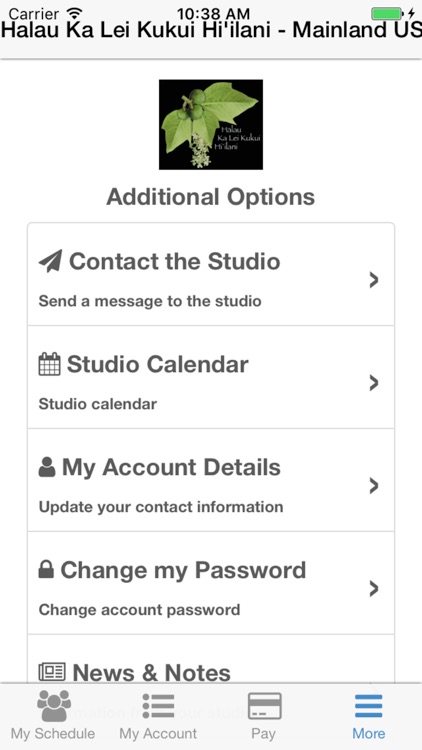 Halau Ka Lei Kukui Hi'ilani