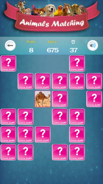 Matching Madness - Animals screenshot-3