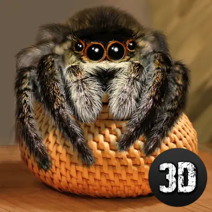 House Spider Survival Simulator 3D Читы