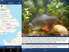 Fish Id - Freshwater Fish UK iPad image 4