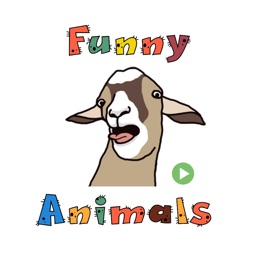 Funny Animals Animated