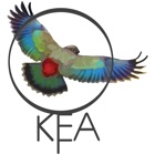 Kea: Create Birding Quiz Games