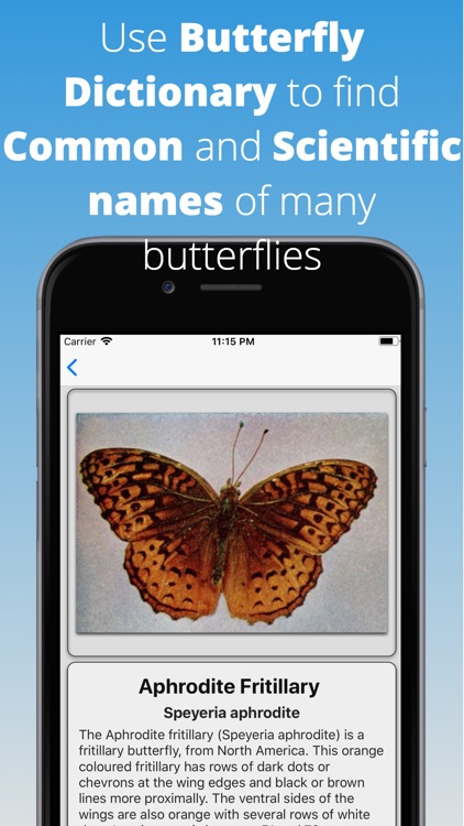 Butterfly Dictionary Pro