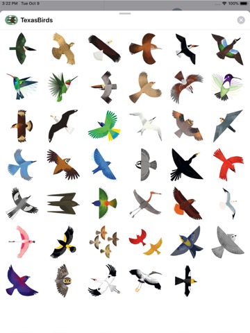 Texas Birds Sticker Packのおすすめ画像1