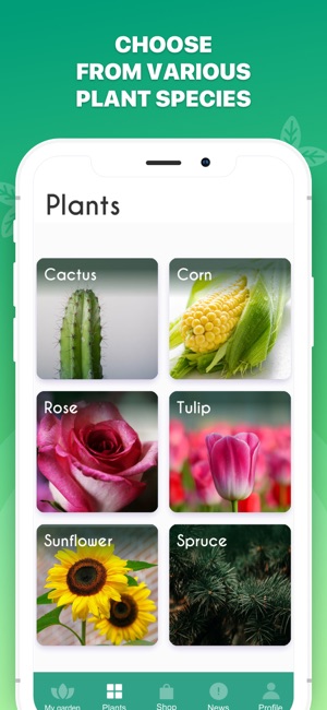 Botanica AR(圖1)-速報App