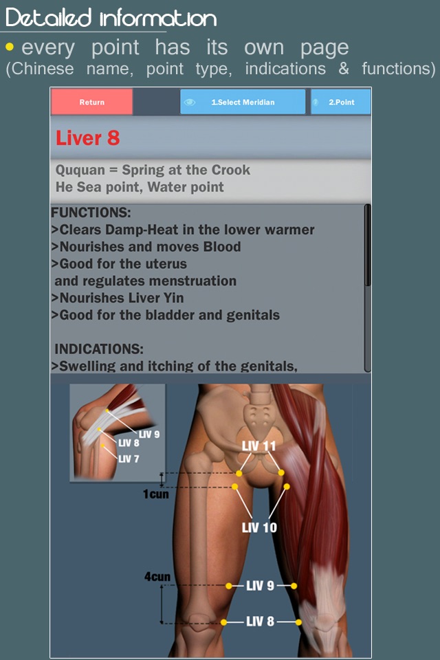 Easy Acupuncture 3D - LITE screenshot 2