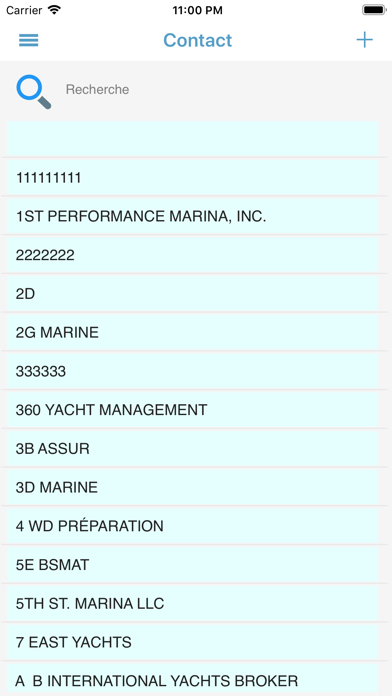 How to cancel & delete DBS from iphone & ipad 3