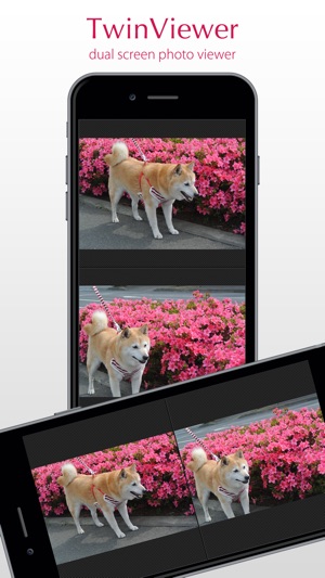 TwinViewer