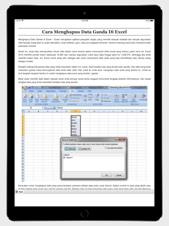 Rumus Excel iPad screenshot