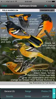 ibird yard+ guide to birds problems & solutions and troubleshooting guide - 3