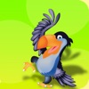 Angry Toucan Pop Birds Saga!