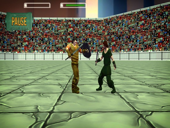 Sword Fighting 2017 iPad screenshot