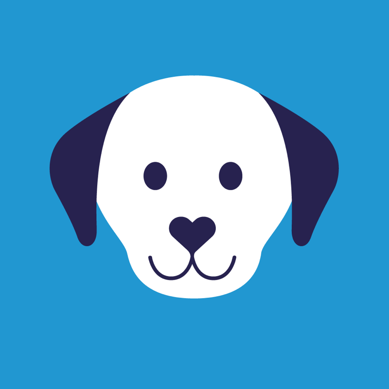 feed a dog