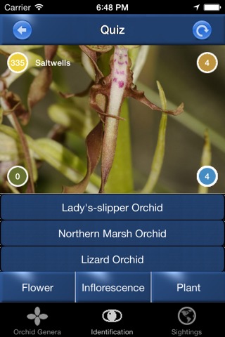 Orchid Id - British Orchidsのおすすめ画像3