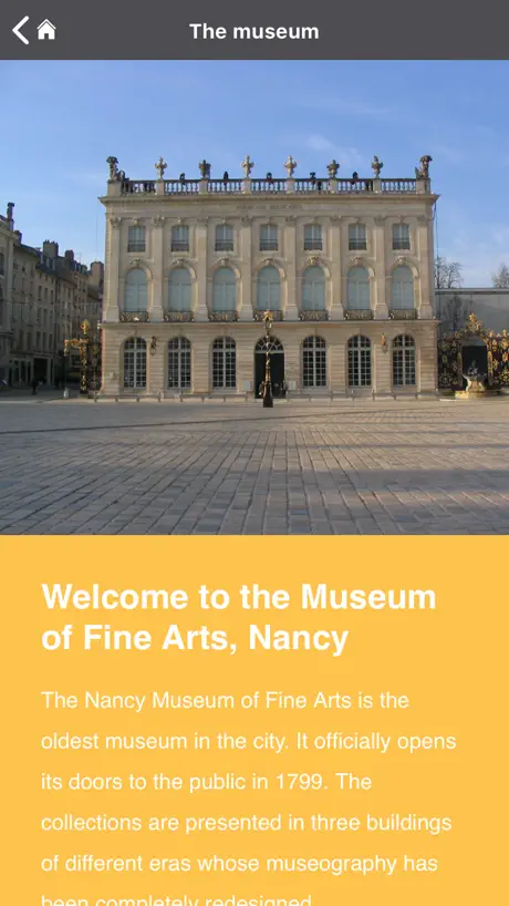 Musée des Beaux-Arts, Nancy