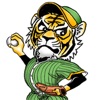 Tiger Baseball Man