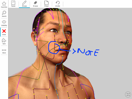 Visual Acupuncture 3D iPad app afbeelding 6