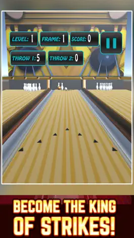 Game screenshot Realistic Bowling mod apk