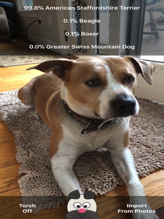 Dog Breed ID iPad screenshot 1 - Utilities app