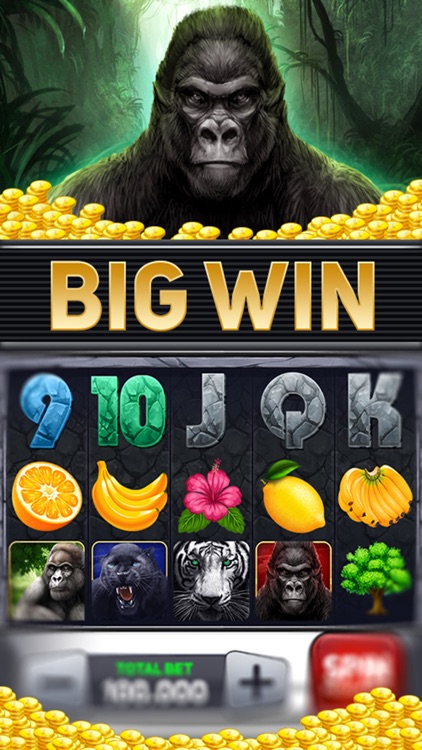 Massive Jackpot Casino