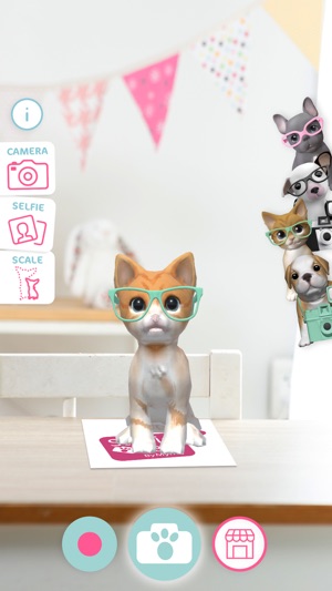 Studio Pets AR(圖8)-速報App