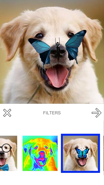 Puppy Magic screenshot-3