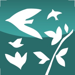 [웰리힐리파크]