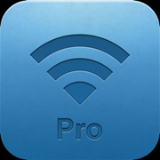 Transfer File - Professional E