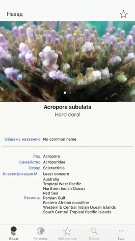 Game screenshot Corals, by Reef Life apk