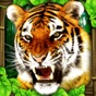 Tiger Simulator app download