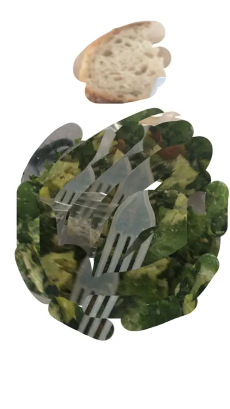 Shrub